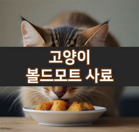 고양이 사료 제조원